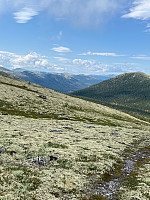 Harex_20250628_685feabe4f123.jpg