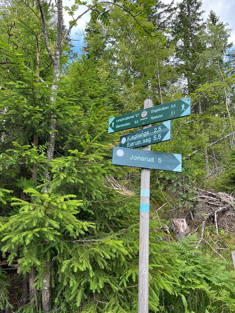 Inn stien her, 250-300 m til toppunktet