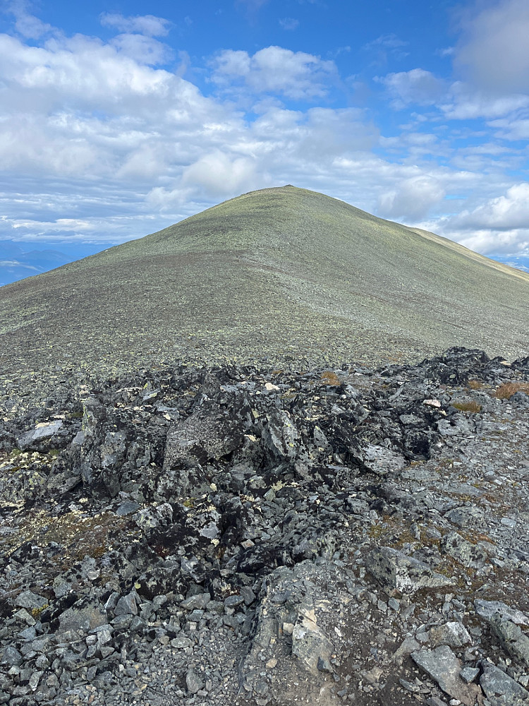 Toppen forut fra 1670 moh. 2 t hit. Godt fornøyd