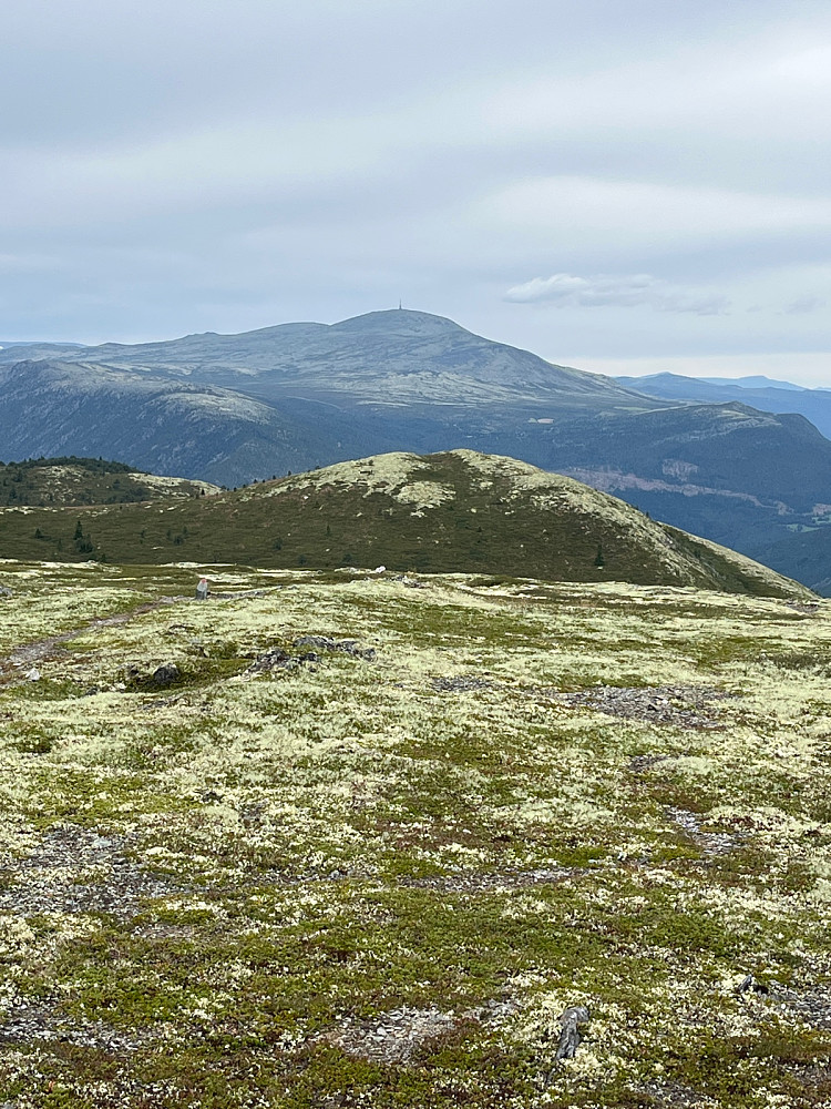 Nordover mot Blåhøe
