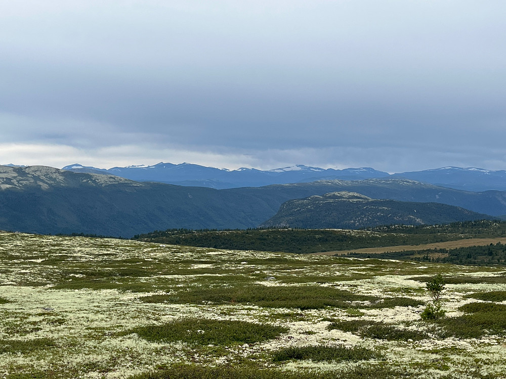 Vestover mot Jotunheimen