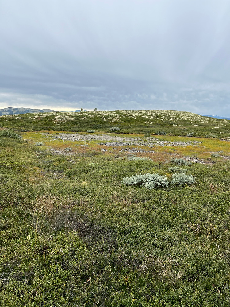 Pytten på 1065 moh var tørr…
