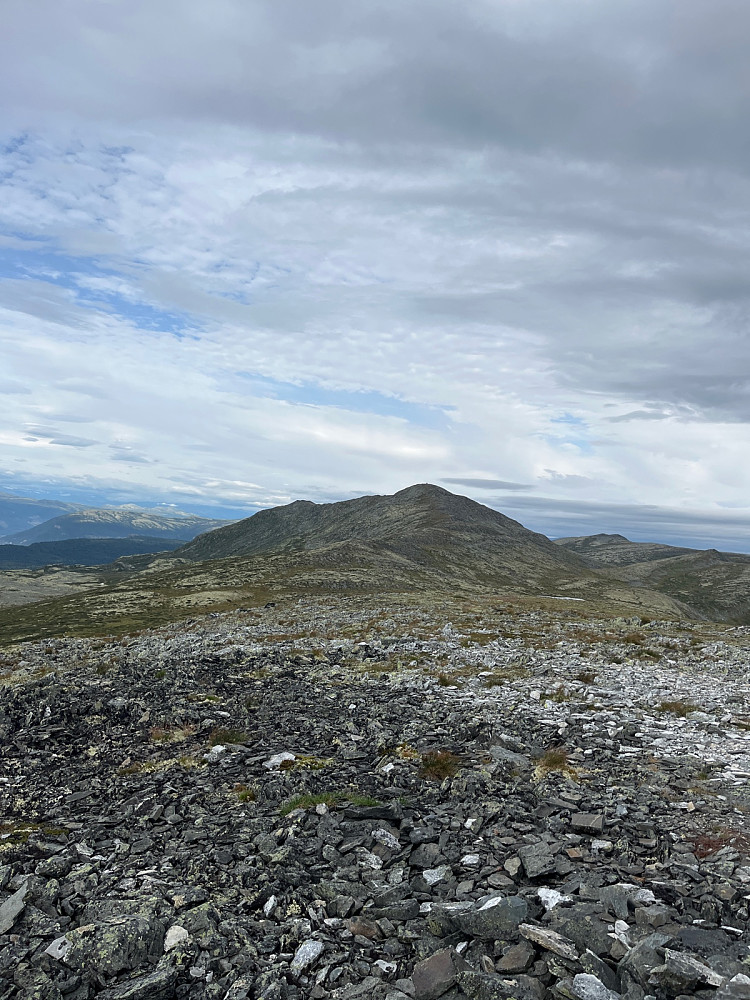 Fra Skarven mot dagens mål Gråhøa