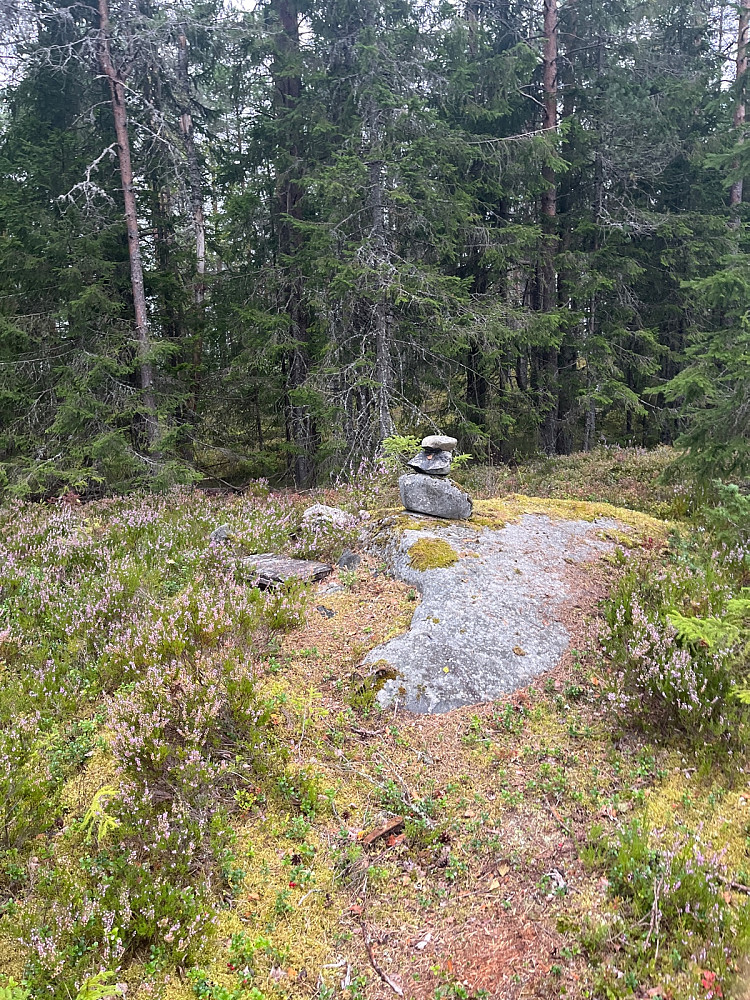 Toppunktet på Vardehøgda (øst) med varden