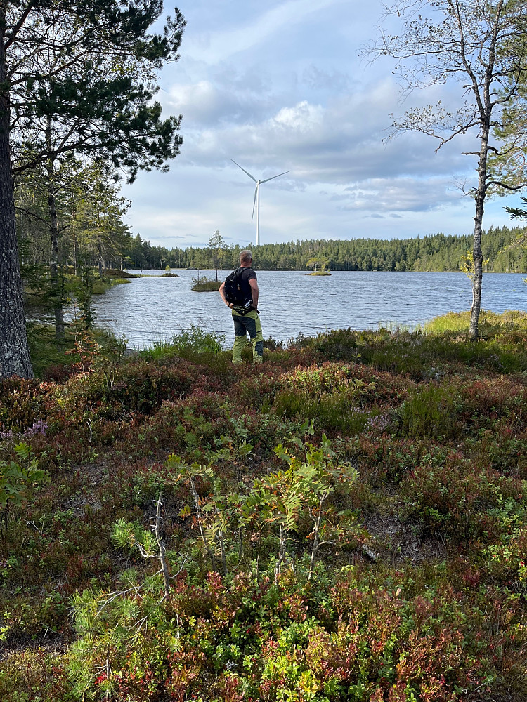 Steinsjøen