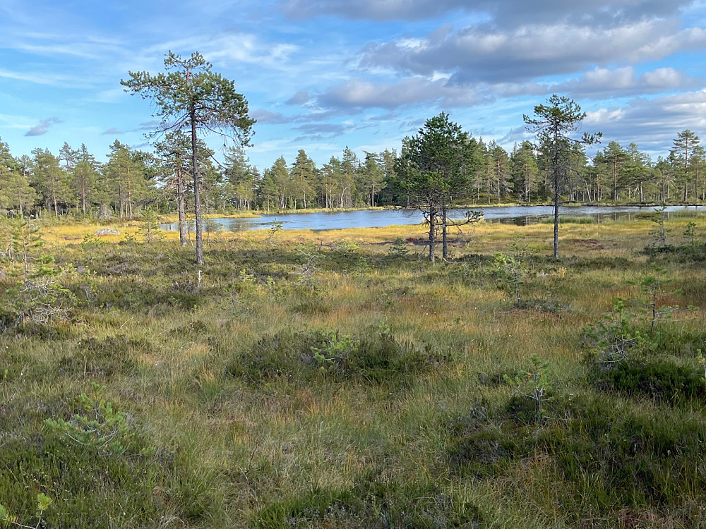 Rabbtjennet. Nes kommunes høyestliggende vann, 477,2 moh