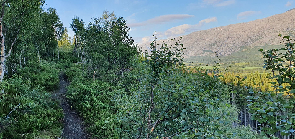 Til tider fin sti å sykle bortover ryggen av åsen