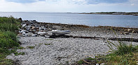 NJK500_20210711_60ea9ac1947fa.jpg
