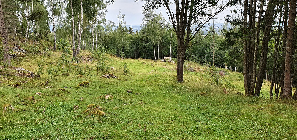 Andre steder var det gress å sykle på