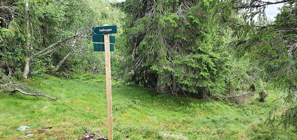 Skiltet var det også i et stikryss oppe på ryggen, så det var lett å finne frem