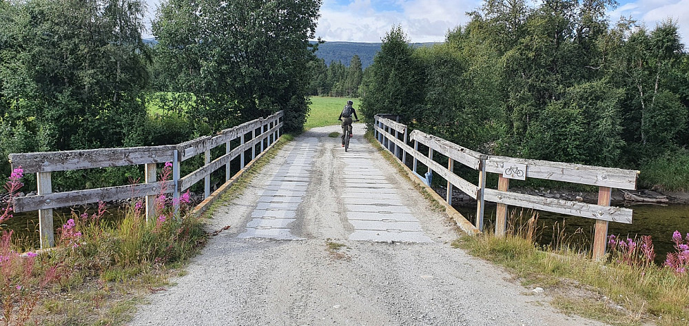 Vi startet turen med å sykle under jernbanen og så over denne brua