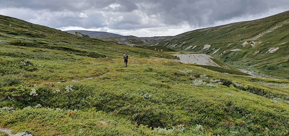 Dalen videre innover fjellet, hvor det var mye morenerygger. Man kan følge stien over fjellet og ned i Lordalen