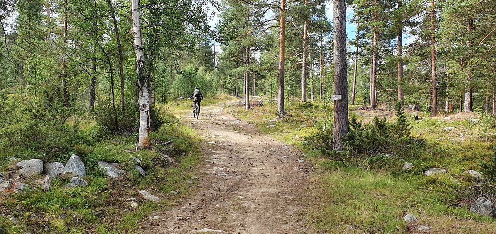 Videre opp mot Grønfossen var det grei grusvei å sykle opp