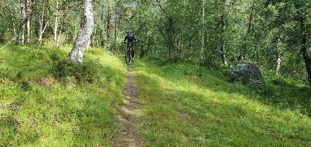 Videre oppover var det jevn stigning, men stort sett greit å sykle