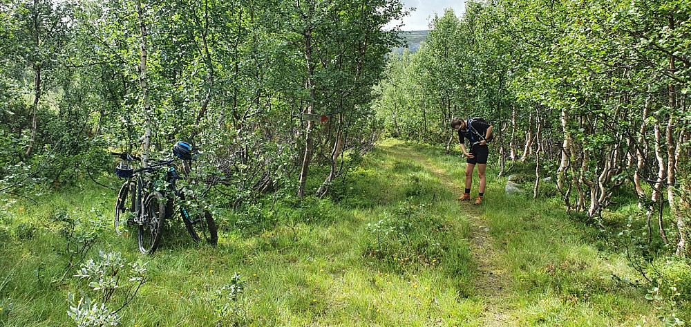 Vi valgte å parkere syklene ved Enstadsætri slik at vi kunne gå en rundtur på fjellet og komme ned igjen her.