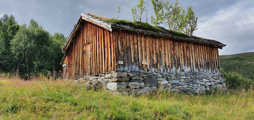 Fra Kvamsætri var det skiltet og vi kunne følge en lite brukt, men tydelig og merket sti inn til Knutstugu