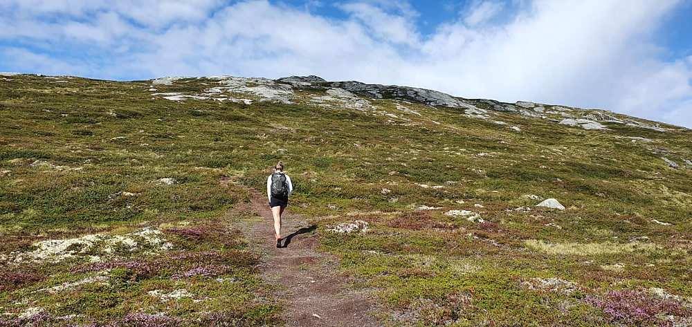 Også oppe på fjellet var det fin sti og vi kunne se sykkelspor helt opp på toppen, så dette er rett og slett en sykkeltopp for de som liker down hill sykling