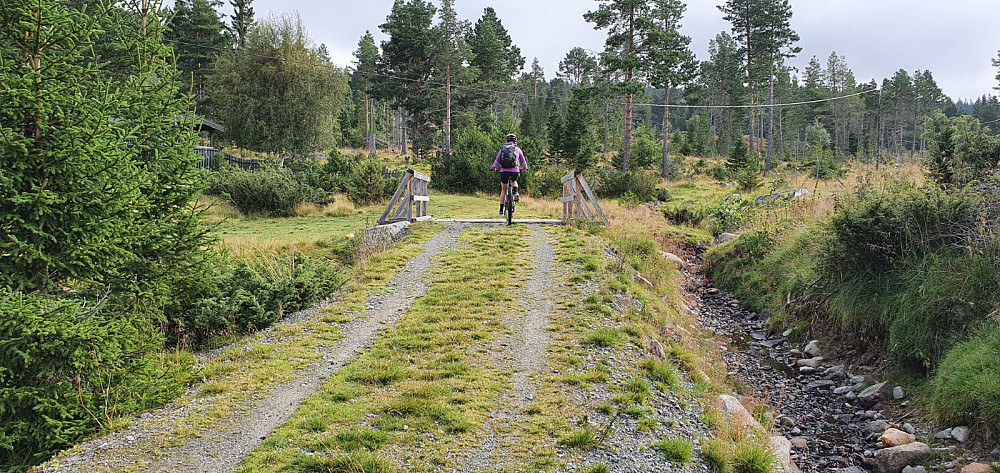 Vi tok over denne brua, og så gikk kjerreveien skarpt til venstre