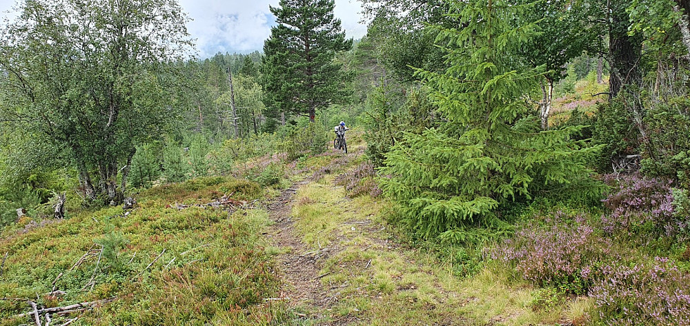 Mye fin sykling, selv om MMO måtte av sykkelen i noen partier