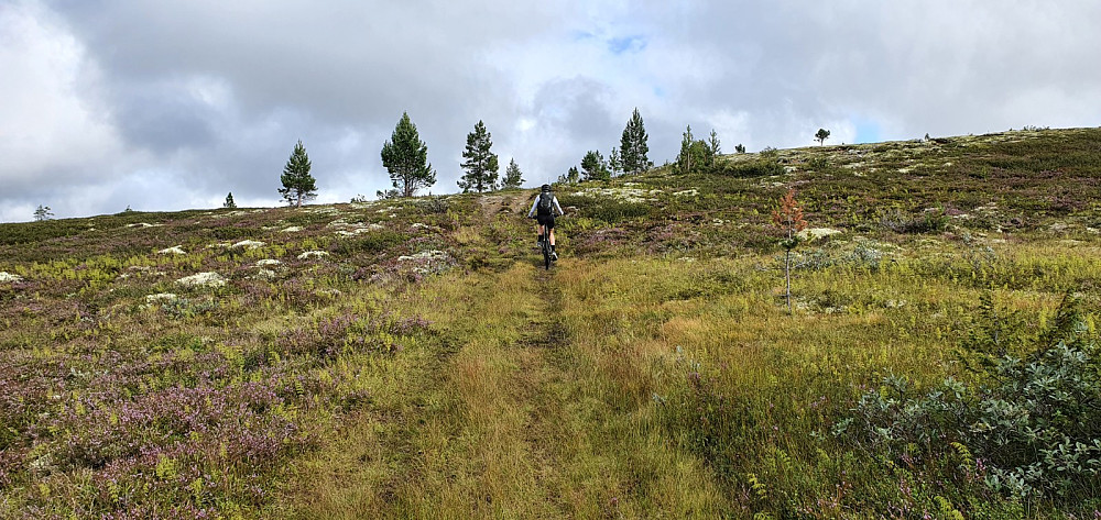 Sykkelvei også oppe på fjellet