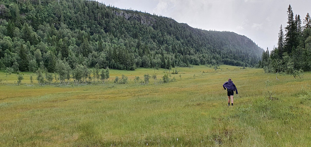 Det var noen lange og våte myrer på returen vest for åsryggen, og i regnet ble det en seig tur.