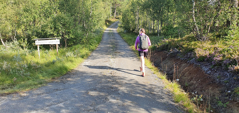 Vi startet på Fossumsvollan og gikk et lite stykke på vei opp til stistart