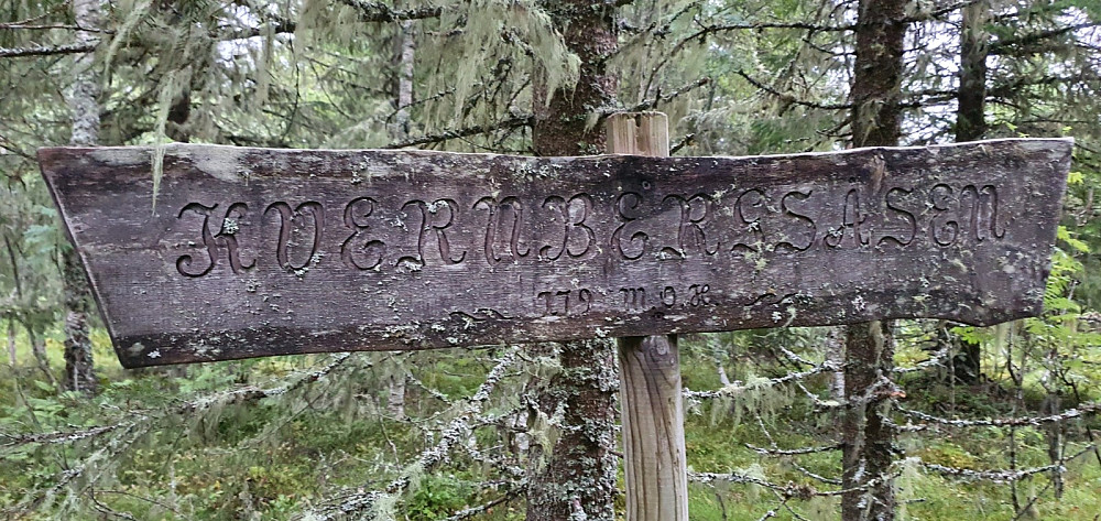 Skilt der stien passerte tett ved det høyeste punktet. Toppen lå 50 meter inn i skogen og var umarkert