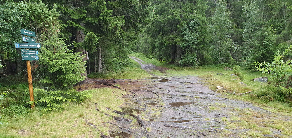 Veldig bra skiltet i alle stikryssene jeg passerte