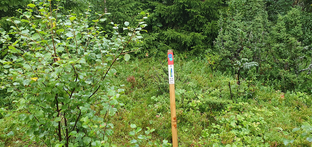 Inne på Hovsslettet var det hardtråkket opp til denne stolpen