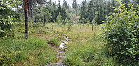 NJK500_20210815_6118da0304af8.jpg