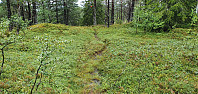 NJK500_20210815_6118da0894efd.jpg