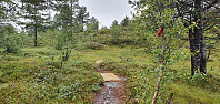 NJK500_20210815_6118da0b3e542.jpg