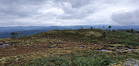 NJK500_20210815_61191153d256c.jpg