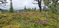 NJK500_20210815_6119115686c27.jpg