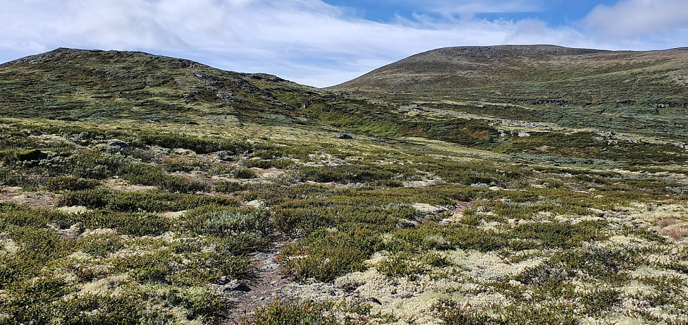 Jeg var heldig og fant lettgåtte stier i starten
