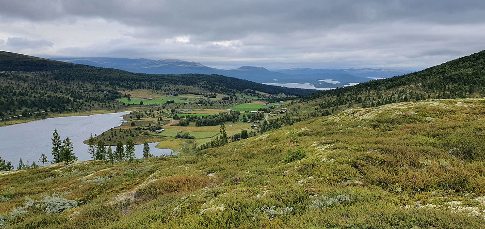 Tilbakebkikk mot start, et lite stykke opp i fjellsia