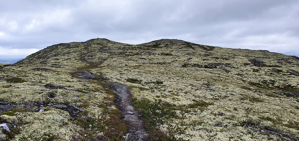 Oppe på fjellet fikk jeg vinden rett i mot bort mot høyeste punkt