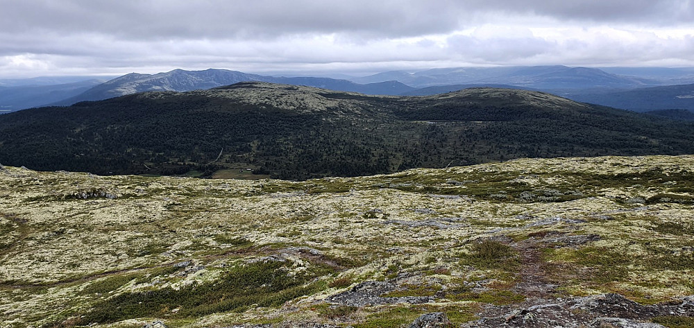 Over mot Lomnesvola på andre siden av dalen. Den er turens neste topp