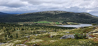 NJK500_20210818_611d05a27cf20.jpg