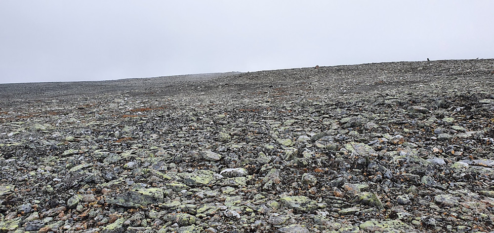 Oppe på fjellet ble det en kjedelig etappe bort til høyeste punkt