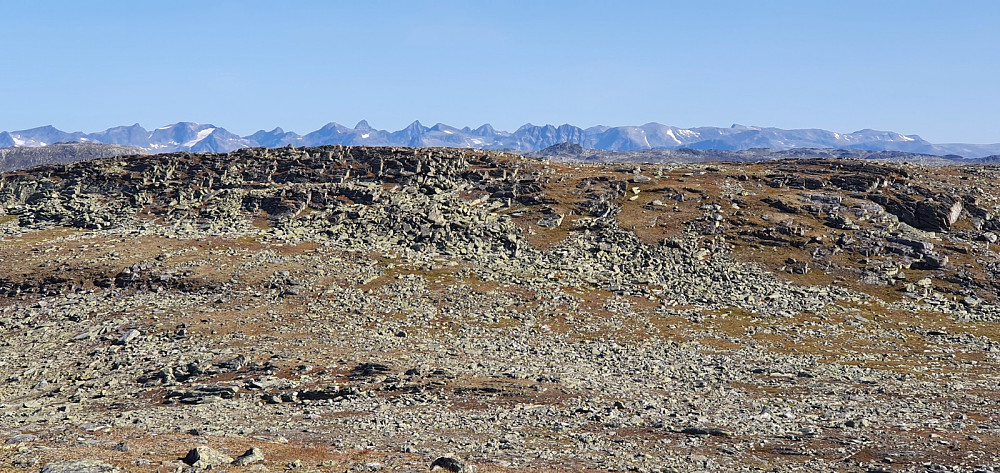 Fra en liten nabotopp og tilbake mot høyeste punkt på Skyrifjellet og med Jotunheimen i bakgrunnen