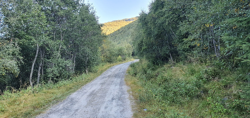 Da var det bare å tråkke i vei, og jeg hadde veien for meg selv