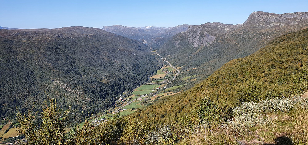 Utsikt opp mot Tyinkrysset i en sving over tregrensa