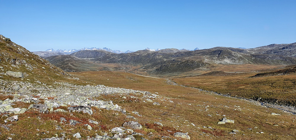 Tilbakeblikk et stykke opp mot Skyrifjellet