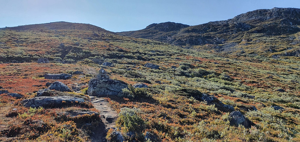 Merket og mye brukt sti helt til toppen