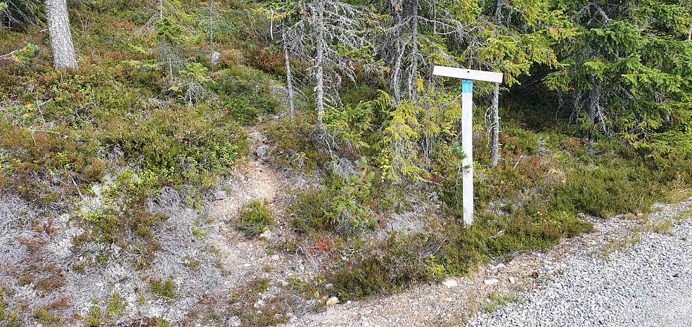 Skiltet var så værslitt at all tekst var borte, men blåmerkingen var på plass