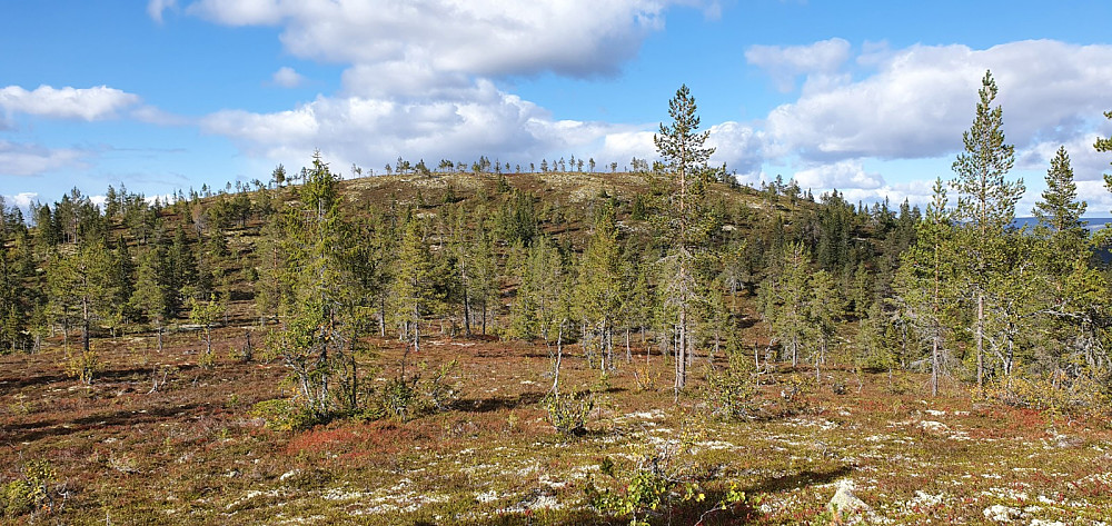 Her fikk jeg siste motbakke i sikte