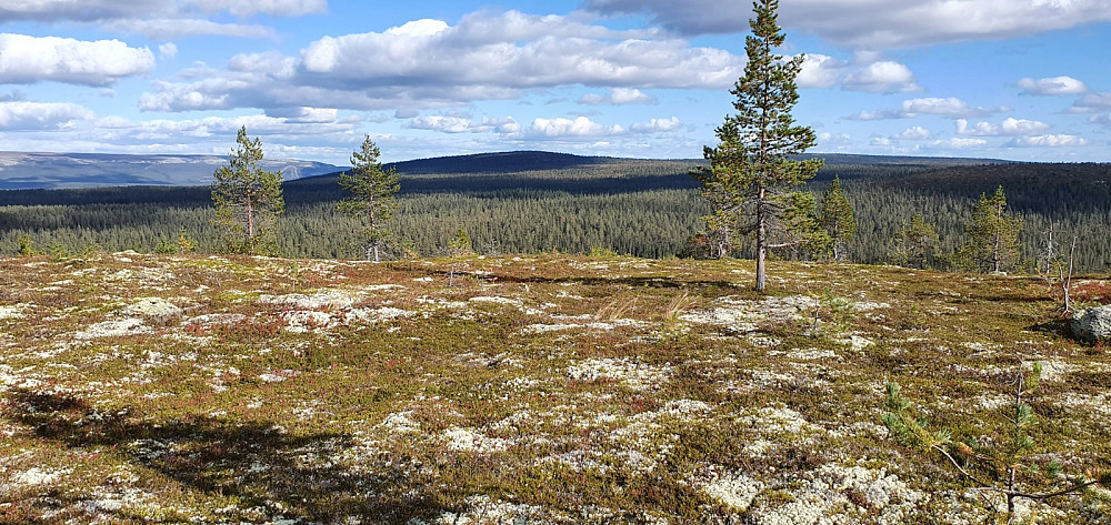 Utsikt over på dagens neste og siste topp, Tektgnollen