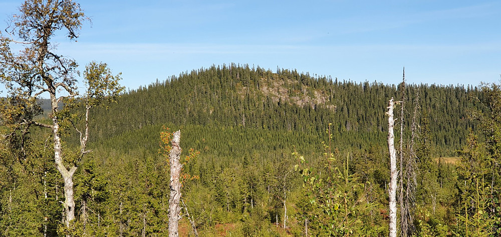 Over mot Kvassberget som blir neste topp og dagens siste