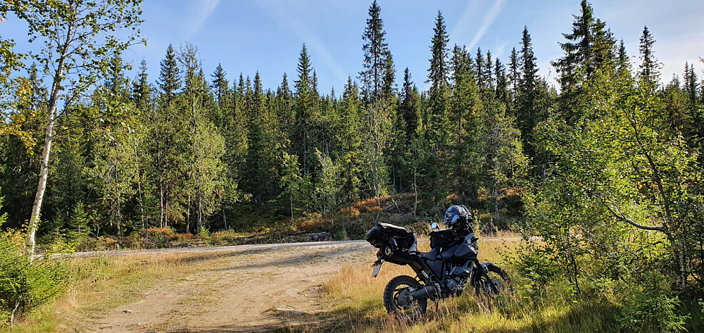 Jeg parkerte i veikrysset nord for toppen og fikk da en grei tur opp ryggen på nordsiden